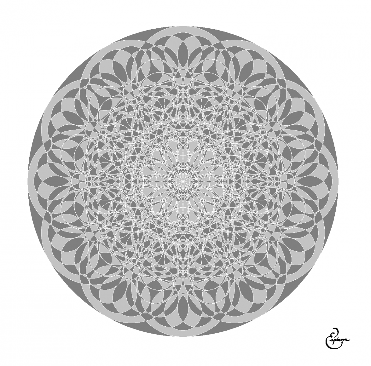 gallery_24498_1553_178376.png